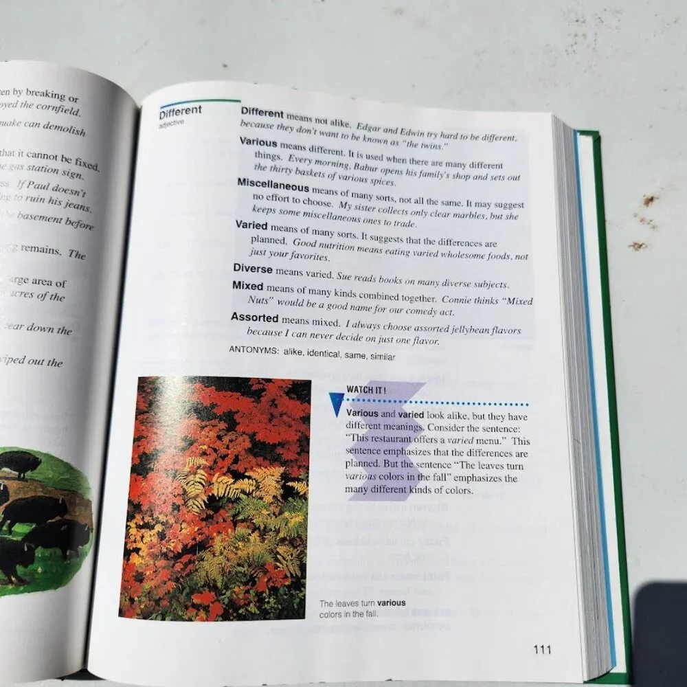 Scott Foresman Roget's Student Thesaurus Dictionary Hardcover School Writing Sup